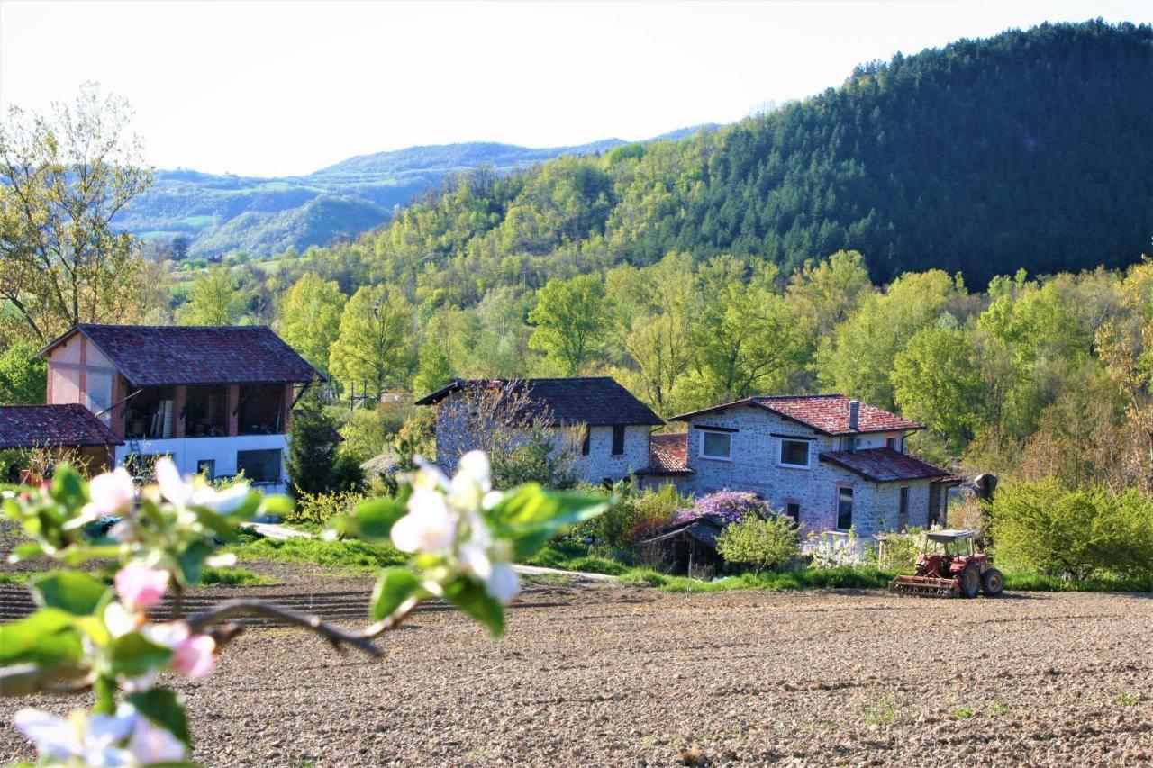 Agroturismo Malvista San Sebastiano Curone