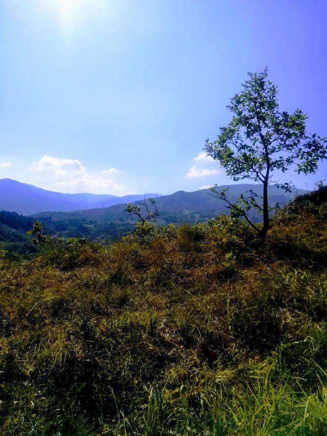 Agroturismo Malvista San Sebastiano Curone