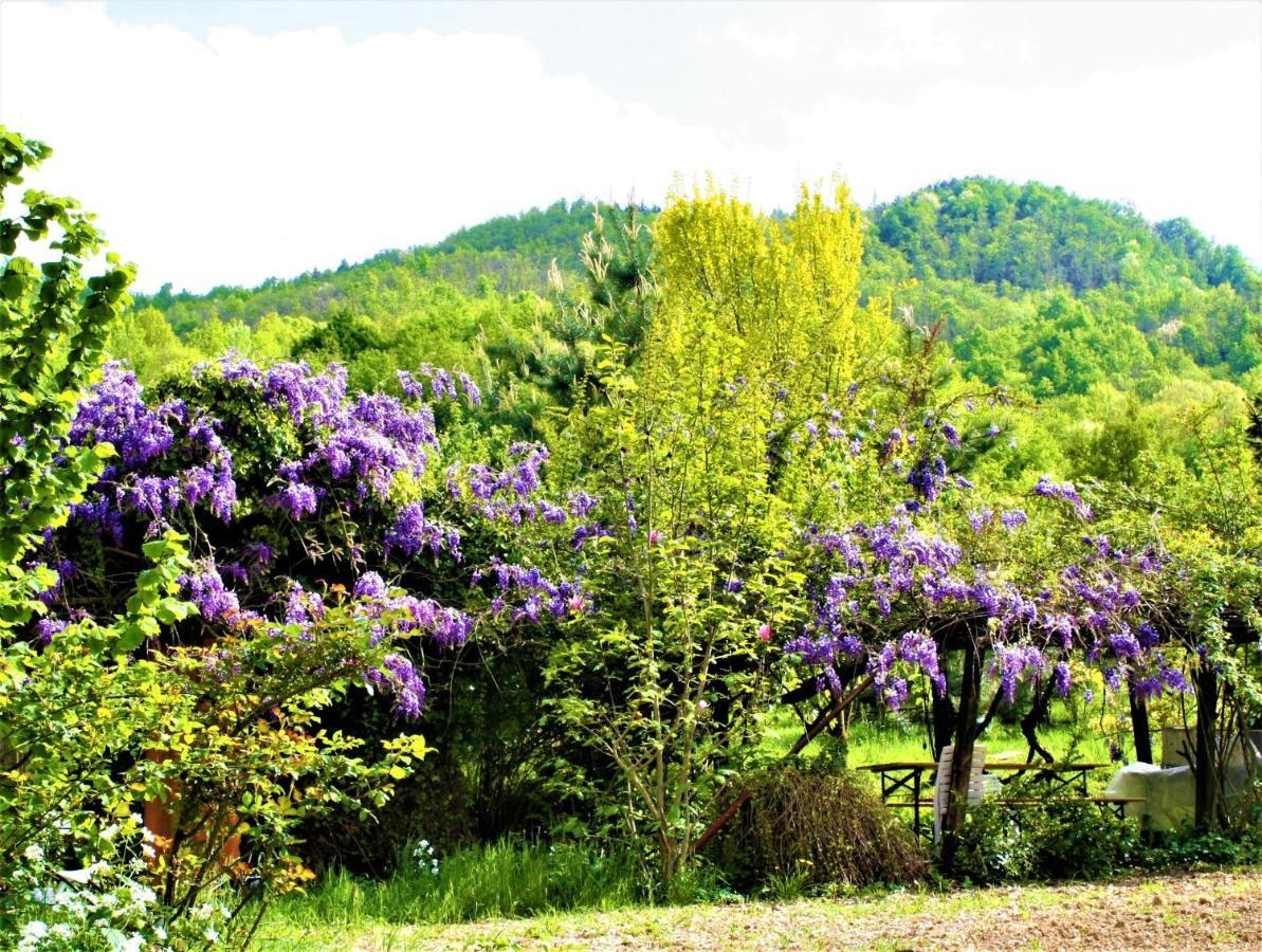 Agroturismo Malvista San Sebastiano Curone