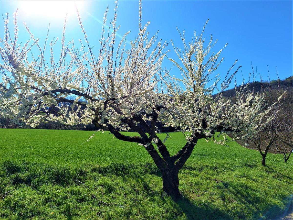 Agroturismo Malvista
