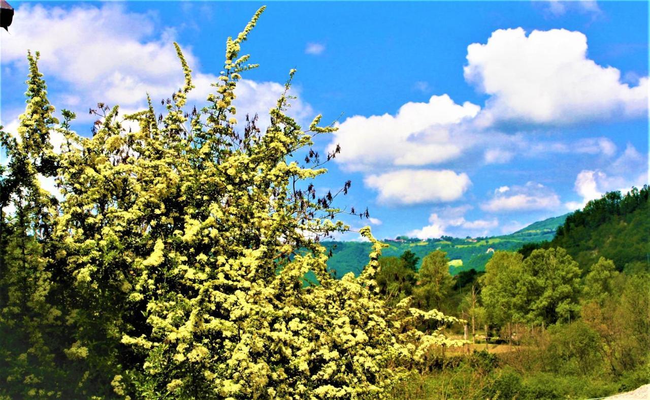 Malvista San Sebastiano Curone