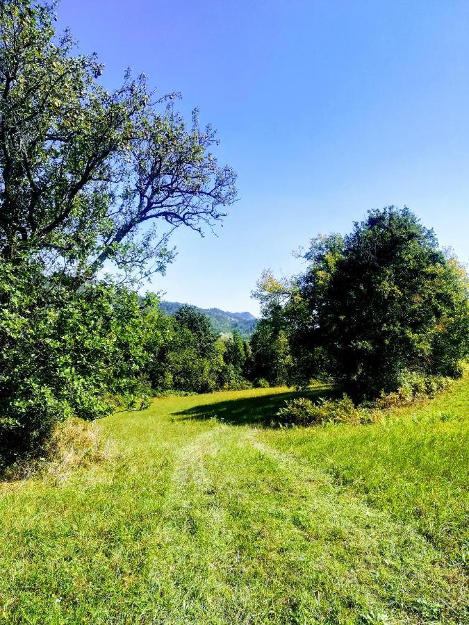 Malvista San Sebastiano Curone