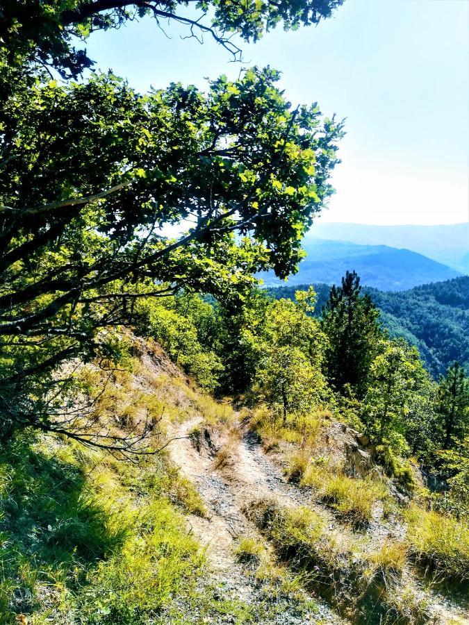 Malvista Bauernhof